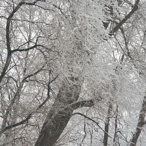 Meet your Posher, Joanna